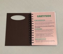 Gratitude journal Black With Green Embellishment 7.2in By 5.25in NEW