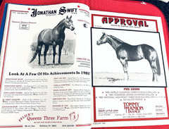 SALE ENDS 6/15! 1986 QUARTER HORSE JOURNAL Book – DYNAMIC DELUXE, ZAN PARR BAR