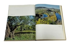 Israel 10th ANNIVERSARY,Judaica Book,w Photos,Hebrew, David Ben Gurion, 1958