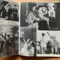 All about Hideko Takamine Japanese Movie Actress Photo Book 237 Pages 1990