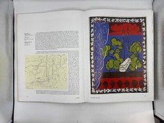 Henri Matisse Cut-Outs Drawing with Scissors by Xavier-Gilles Néret (2014 HC)