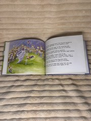 Solomon Sire Ventures Solomon Sire and the Fantastic Fib Hardcover Ages 4-8