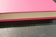 HEART THE LOVER by Lily King (2025, HCDJ) LIKE NEW