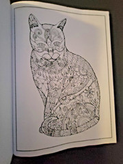 Cat Coloring -32 Spring-Inspired Designs-Relaxing & Inspirational Adult Coloring