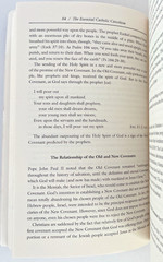 Essential Catholic Catechism by Alan Schreck Readable Comprehensive 1st Edition