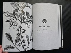 Plant Magic for the Beginner Witch : An Herbalistæs Guide to Heal, Protect an…