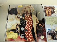 My Town (HYPERION) by William Wegman