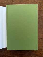 Lotus Shoes : A Novel by Jane Yang (2025, Hardcover)