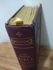 The Holy Bible, Illuminated Family Edition Skyhorse Publishing 2000 KJV