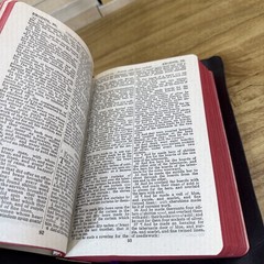 Holy Bible KJV – John C. Winston / International Series Self Pronouncing
