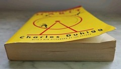 The Power of Habit: Why We Do What We Do in Life and Business by Charles Duhigg