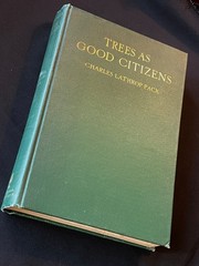 Antique Forestry Tree Identification Botany Nature Study 4 Book Lot 1919-1925