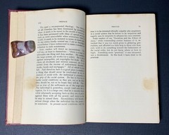 1910s ANTIQUE BOOK 1st Edition HC Democracy CHRISTIANITY social justice GOSPEL