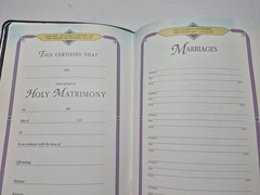 Zondervan Genuine Leather NIV Application Study Bible Navy Red Letter