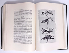 Forty-Seventh Annual Report of the Bureau of American Ethnology 1929-1930