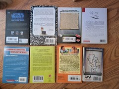BOYS Chapter Books Lot of 8 ~ 8-12 Years Old – Classroom Library Homeschool
