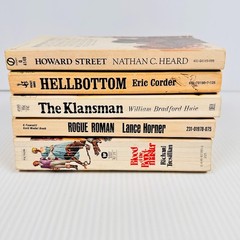 6x Vtg PB Domestic, Historical Fiction Howard Street, Rogue Roman, Hellbottom…