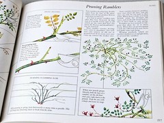 Reader’s Digest Illustrated Guide to Gardening Various 672 Pages Hardcover 1977