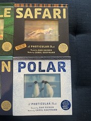 Set of 4 Dan Kainen Photicular Books Motion Rare (Jungle Safari Ocean Polar) VG