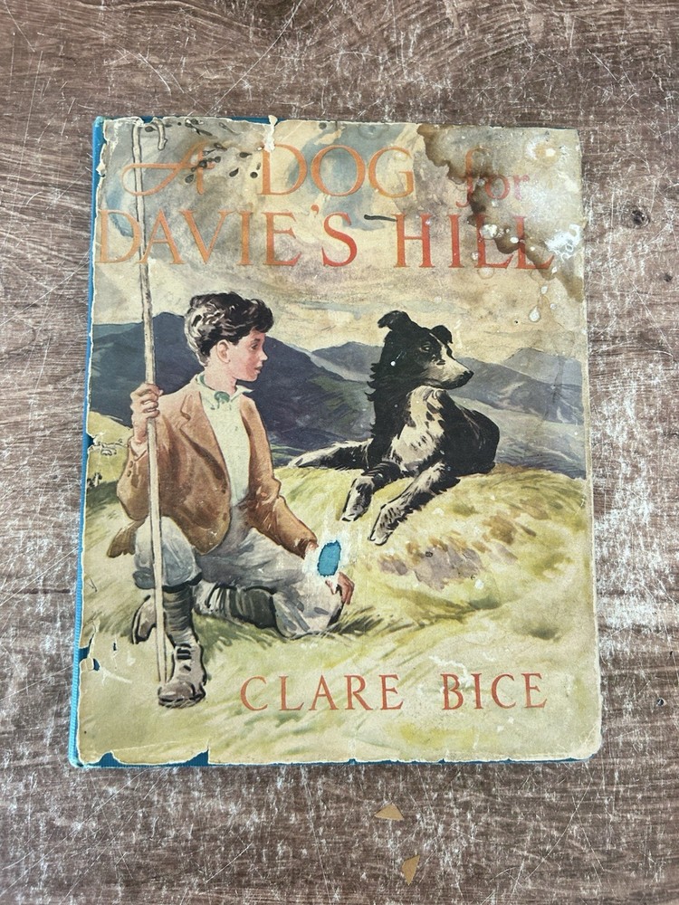A Dog for Davie’s Hill by Clare Bice 1957 Hardcover/DJ BCE The Macmillan Company