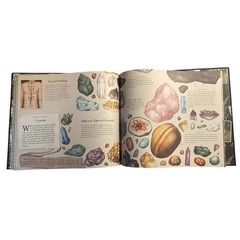 A Natural History of Magick by Poppy David Jessica Roux Hardcover Book Folklore