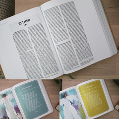 NRSVue Holy Bible Anne Neilson Angel Art Series Multi-Color Leathersoft by Zonde
