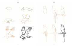 Draw 200 Animals: The Step-by-Step Way to Draw Horses, Cats, Dogs, Birds, Fish,