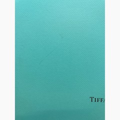 Tiffany Wonder Exhibition Official Book 13.8 in Tiffany Wonder Tokyo April 2024
