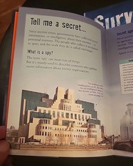 Lot Of 2 Usborne Henry Brook Books Spying & Survival 80 Pages Each 8 1/4″ X 6″