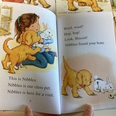 Biscuit Dog My First I Can Read Readers Kindergarten 1st Picture 12 Book Lot