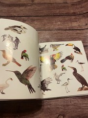 Sticker Fun Book of Animals Funfax SEE NOTES