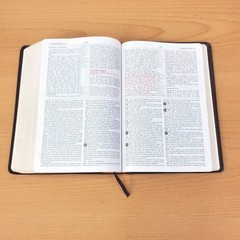 Zondervan The NIV Study Bible 10th Anniversary Edition 1995 Red Letter, Leather
