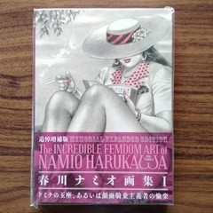 Namio Harukawa Art Book Vol.1 & 2 Set Illustration Book Memorial Edition / NEW