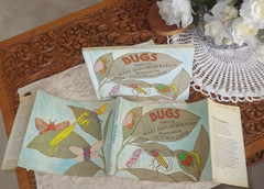 Bugs : Poems By Mary Ann Hoberman 1976 HC 1st ED in Dust Jacket RARE SIGNED!
