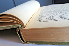1891 Palmer’s The Odyssey of Homer *VIDEO* by G.H. Palmer Houghton Mifflin Co.