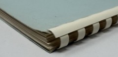 True Healing Art R. T. Trall Lecture Vintage Health Research Publication Book
