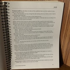 SPIRIT-FILLED SCRIPTURE STUDY GUIDE: A COMPREHENSIVE STUDY by Mark Hankins Minis