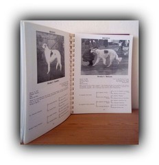 Vintage Borzoi Club of America 1990 Yearbook [BCOA Spiral Bound Book]