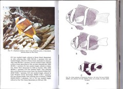 THE ANEMONEFISHES: THEIR CLASSIFICATION AND BIOLOGY By Gerald R. Allen , 1972