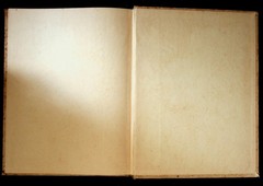 Story of the American Flag Wayne Whipple 1910 Illustrated Henry Altemus Co
