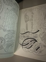 MASTER ALBUM OF PICTORIAL CALLIGRAPHY AND SCROLLWORK: AN By Baldri Van Horicke