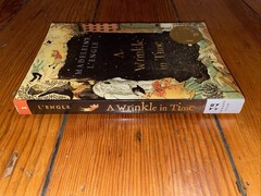 A Wrinkle In Time by Madaleine L’Engle (2007 Square Fish Trade Paperback)