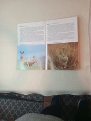 $3.45 – Discover New Zealand, booklet, Wild Animals of New Zealand