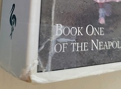 Elena Ferrante Neapolitan FULL SET Collection 4 Trade Paperbacks Europa Editions