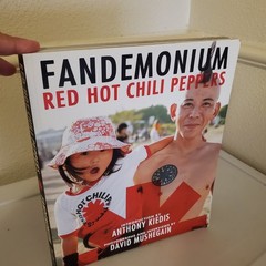 Fandemonium Red Hot Chili Peppers Book Anthony Kiedis David Mushegain