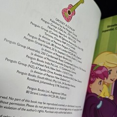 Lot Of 2 Strawberry Shortcake Books From 2010’s