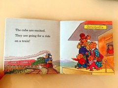 Berenstain Bears I Can Read Phonics Kids Books Lot 12