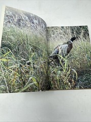 Great British Food Cookbook Canteen Ebury Press By Titcombe Lake Clayton-Malone