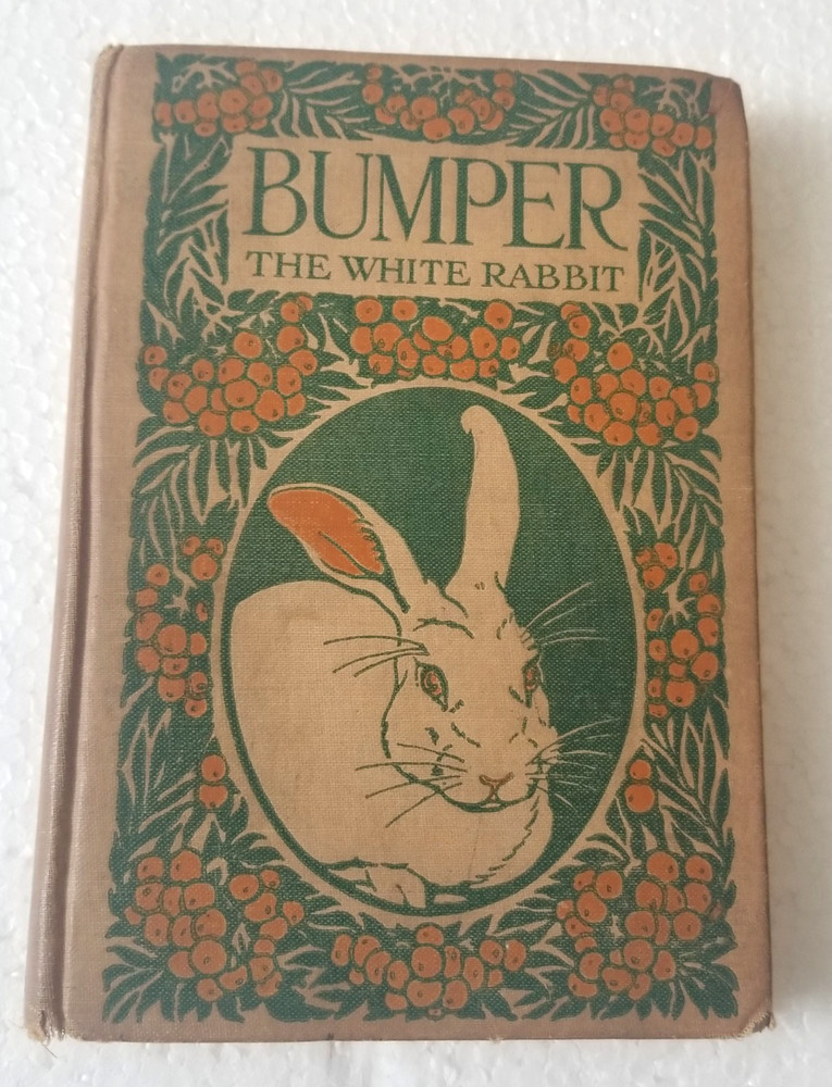 Antique 1922 BUMPER The White Rabbit by George Ethelbert Walsh HC Vtg Bit Rough