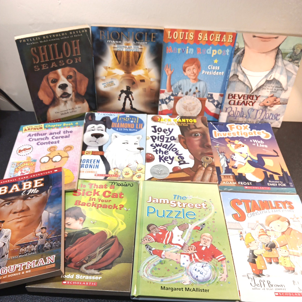 Lot of 12 Chapter Books for Tween BOYS